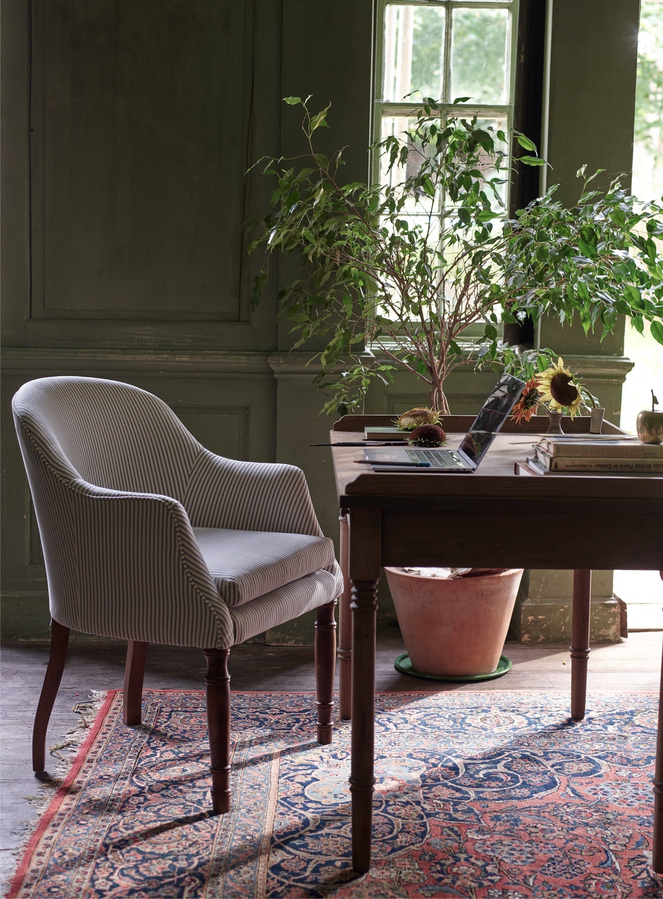 Chaise de bibliothèque Bennett, coton sauge doux